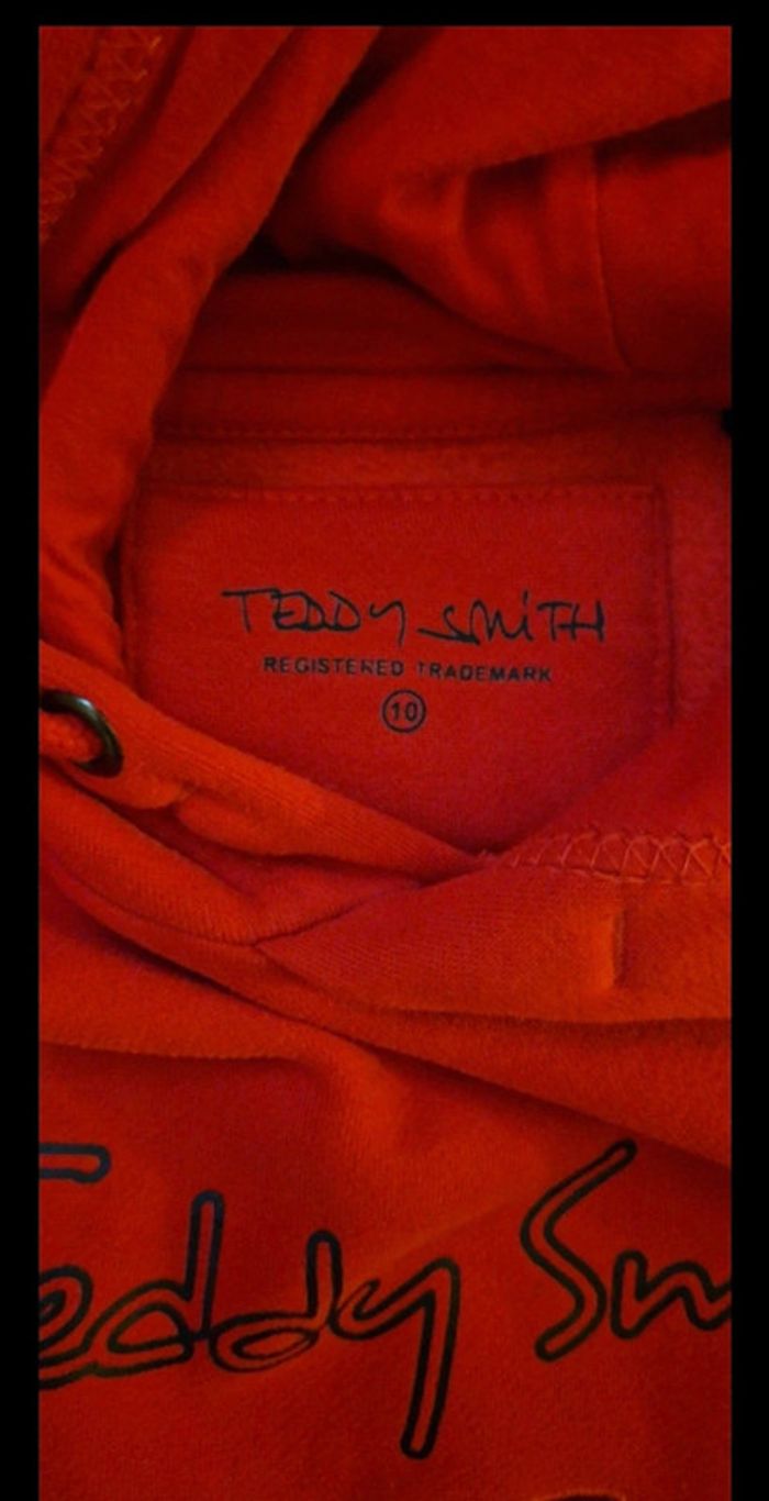 Sweat à capuche Teddy Smith - photo numéro 2