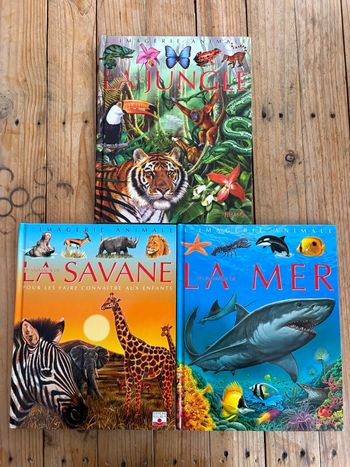 Lot de livres l’imagerie