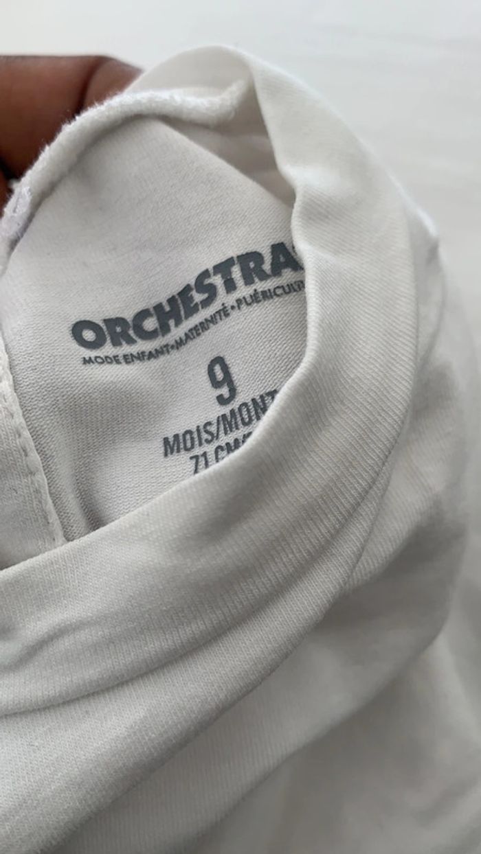 ML orchestra - photo numéro 2