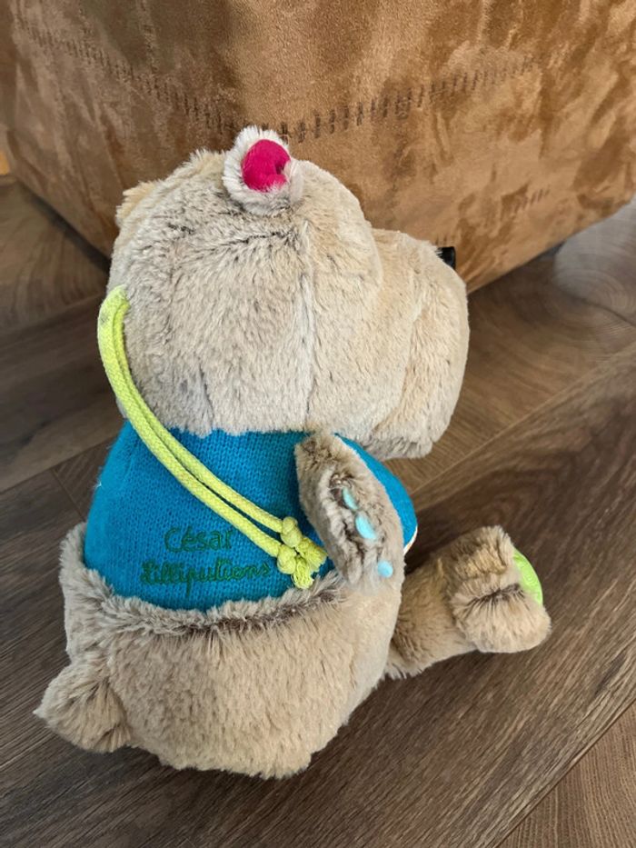 Peluche - photo numéro 2