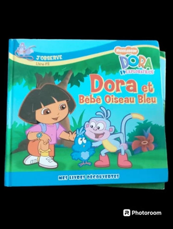 Dora l' exploratrice - photo numéro 3