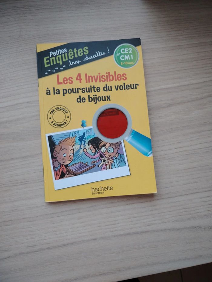 Livre Les petites enquêtes ce2 et cm1