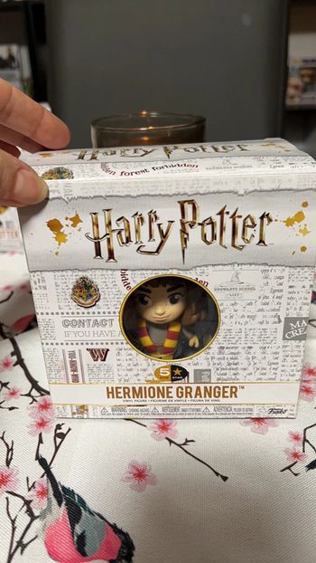 Harry potter hermione franger