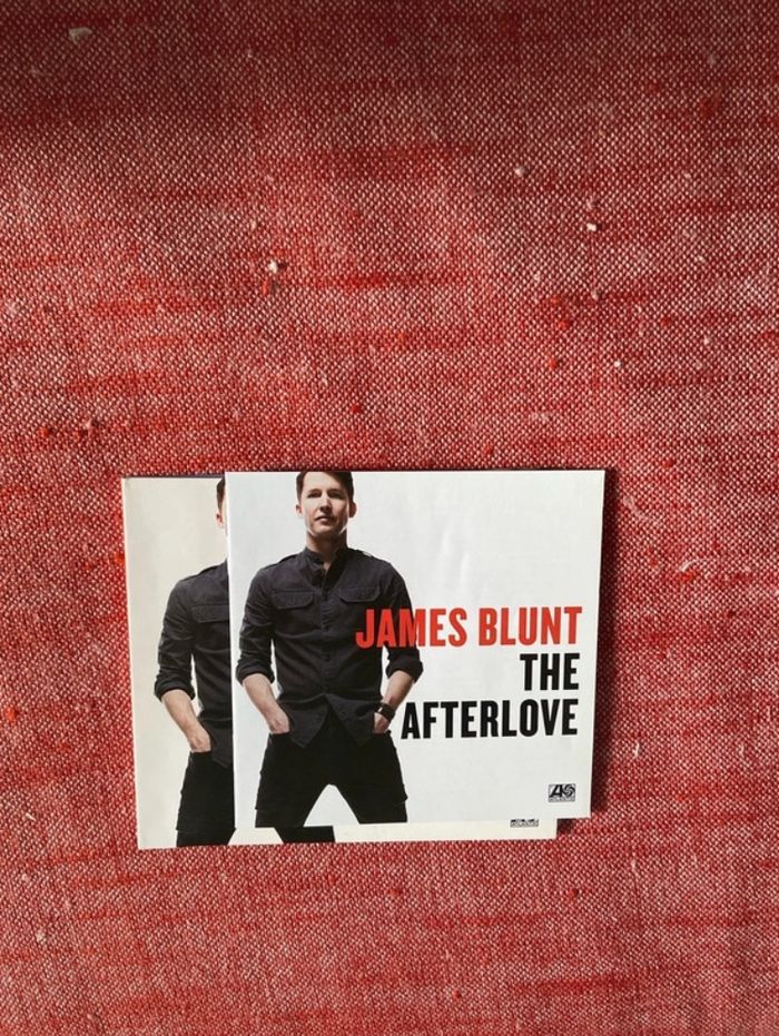James Blunt The Afterlove - photo numéro 7