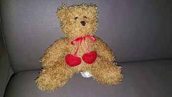 Petit ours
