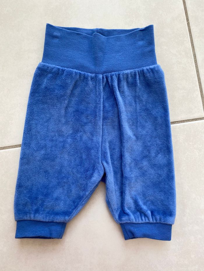 Ensemble hippopotame - photo numéro 3