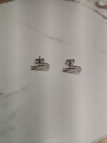 Boucle d'oreille