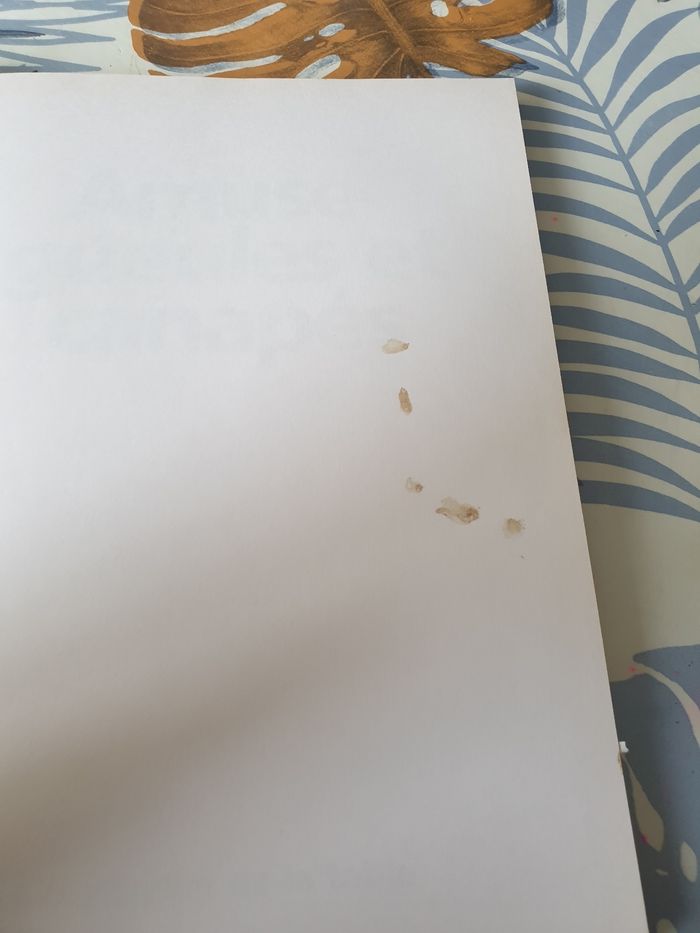 Amuse-gueules et canapés  les plaisirs de la table - photo numéro 3