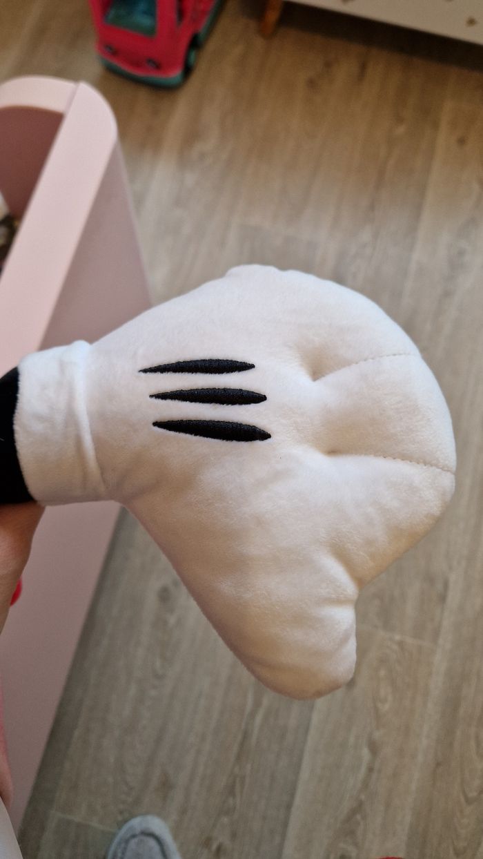 Grande minnie - photo numéro 4