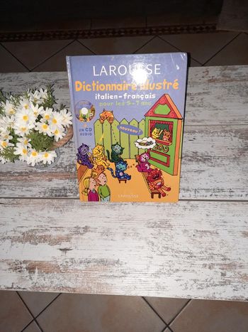 Livre Larousse Dictionnaire Illustré Italien   + un CD audio- Français