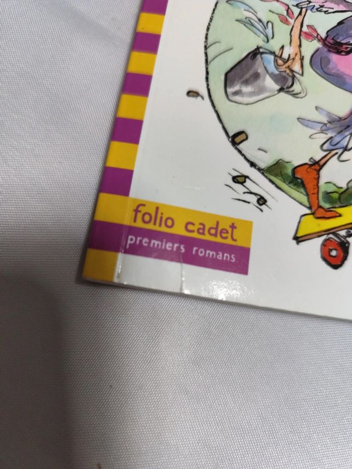 Mlle Charlotte une fabuleuse femme de ménage livre - photo numéro 2