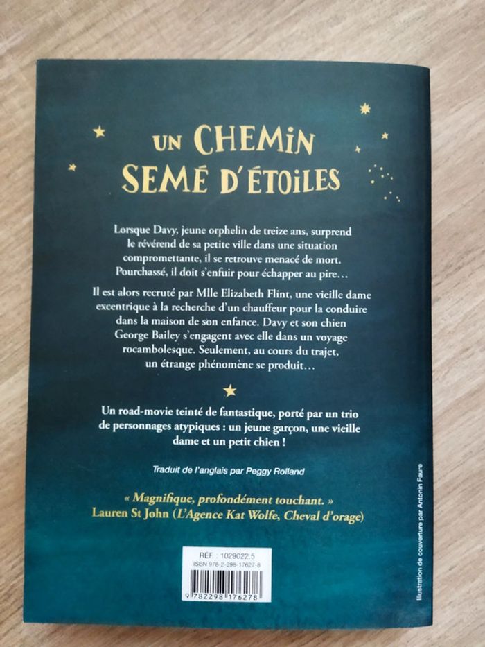 Un chemin semé d'étoiles de Moira Young - photo numéro 2