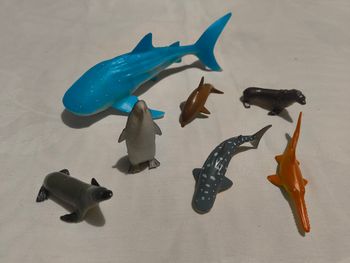 Lot animaux de la mer