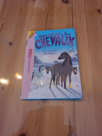 Livre mes amis les chevaux la surprise de l hiver