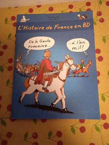 L'histoire de France en BD