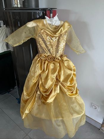 Déguisement princesse