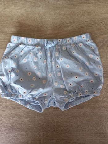 Short fin 24 mois