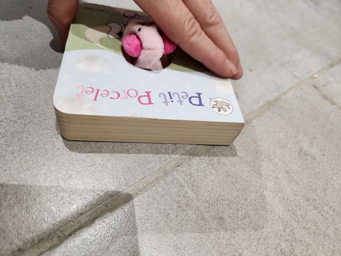 Livre enfant : Petit Porcelet - photo numéro 5