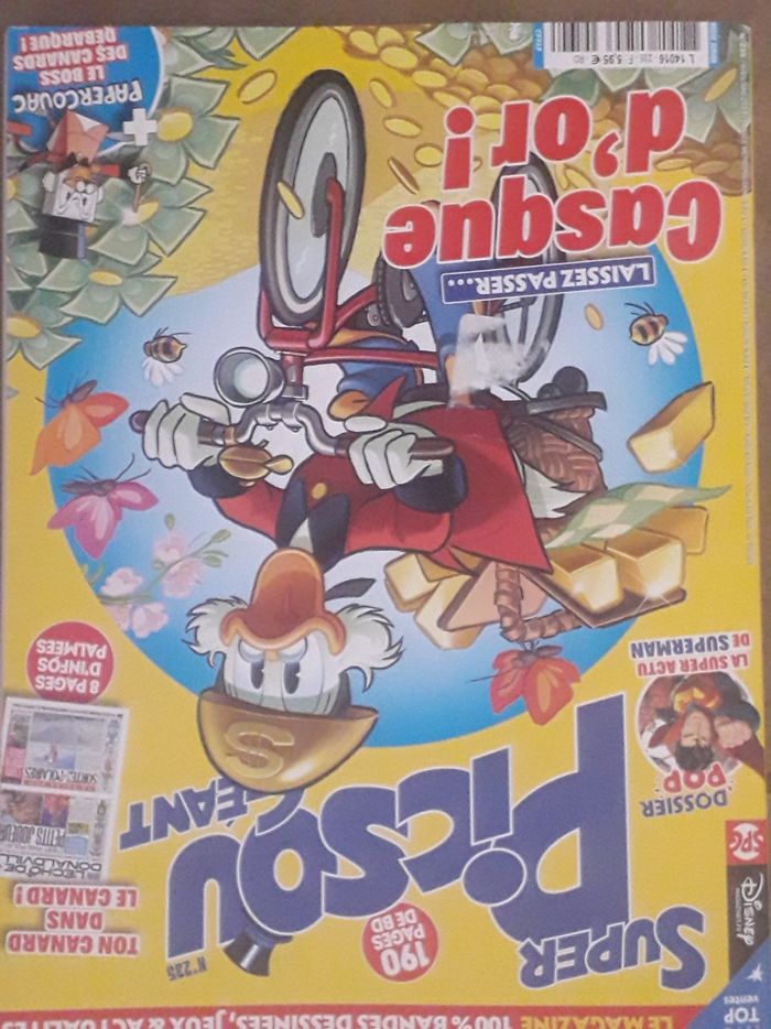 super picsou - photo numéro 2