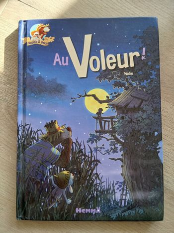 Livre enfant Au voleur!