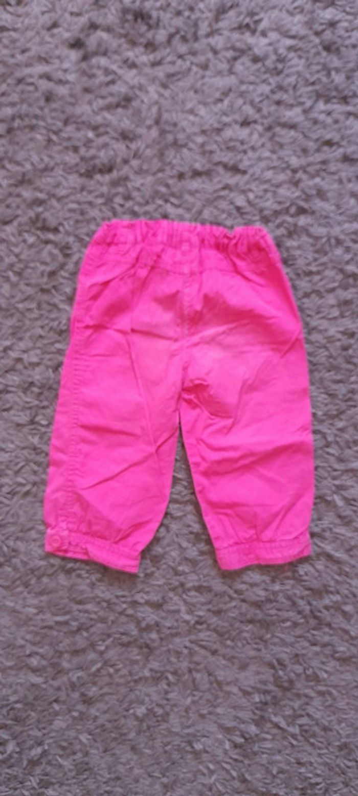 Pantacourt Palomino - photo numéro 5