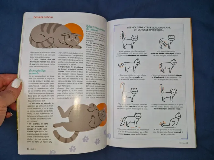 Livre "Mon chat 🐱 " - photo numéro 5