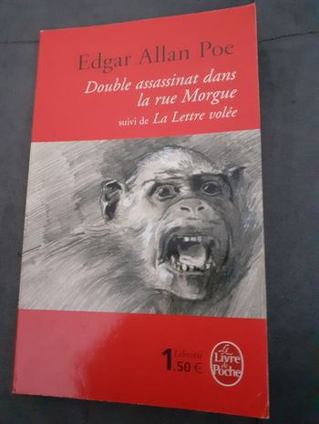 Livre doublement assassinat dans la rue morgue