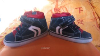 basket montante pt21