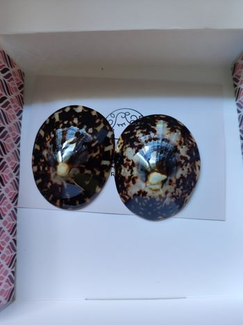 Coquillage d'allaitement