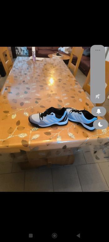 Chaussures de randonnée terrex de adidas