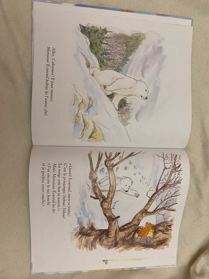 Livre Calinours se réveille - photo numéro 4