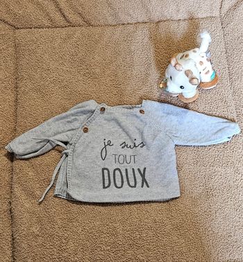 Veste