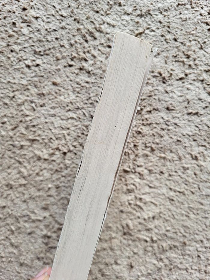 Lot de 2 romans de Sophie Kinsella : L'accro du shopping a une sœur et Samantha bonne à rien faire - photo numéro 4