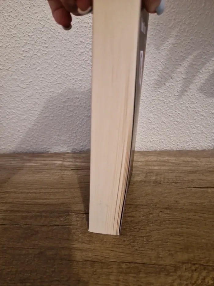 📚 livre dans la ville en feu - photo numéro 3