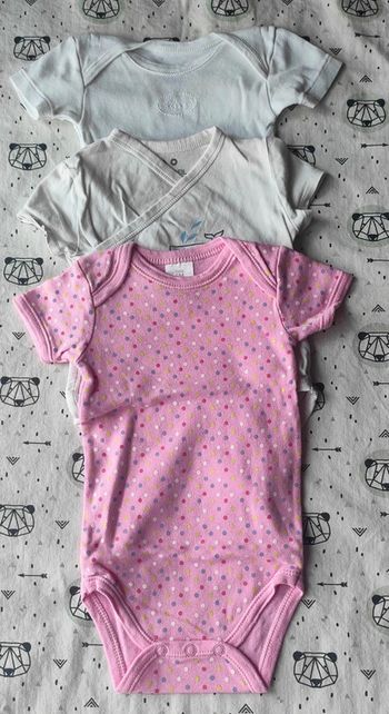 Lot de bodies MC taille 6 mois