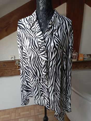 1.2.3 - chemise aux motifs "zébrés"