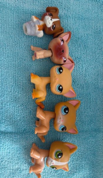 Lots petshop 