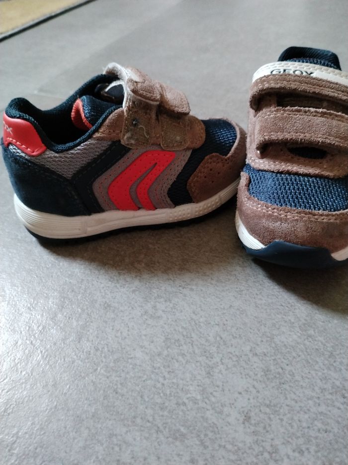 Basket Geox