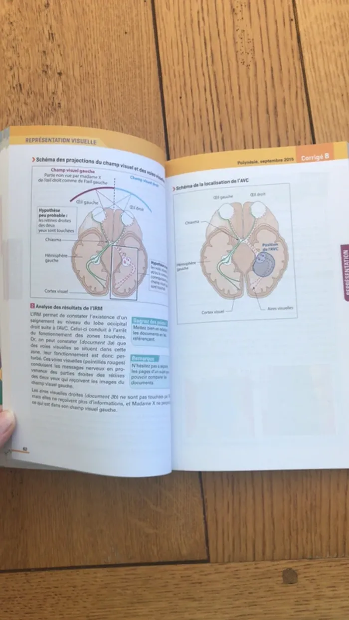 annales sciences de 1ère - photo numéro 8