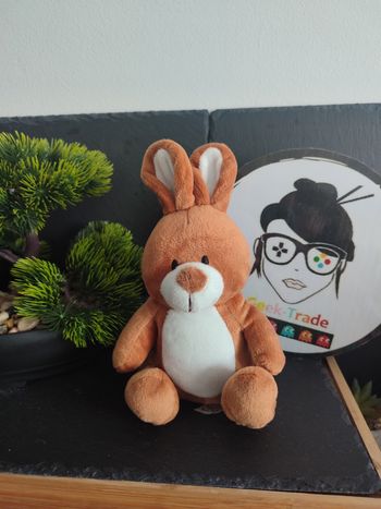 doudou peluche lapin GmbH marron blanc ukca lidl Assis   DD003544