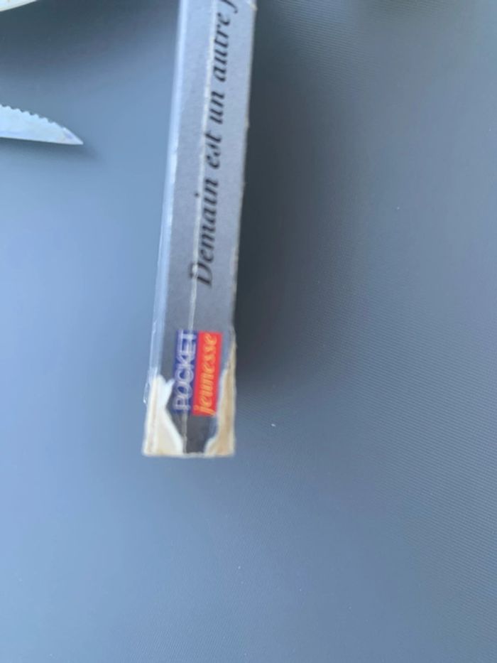 Heartland Demain est un autre jour Lauren Brooke - photo numéro 3