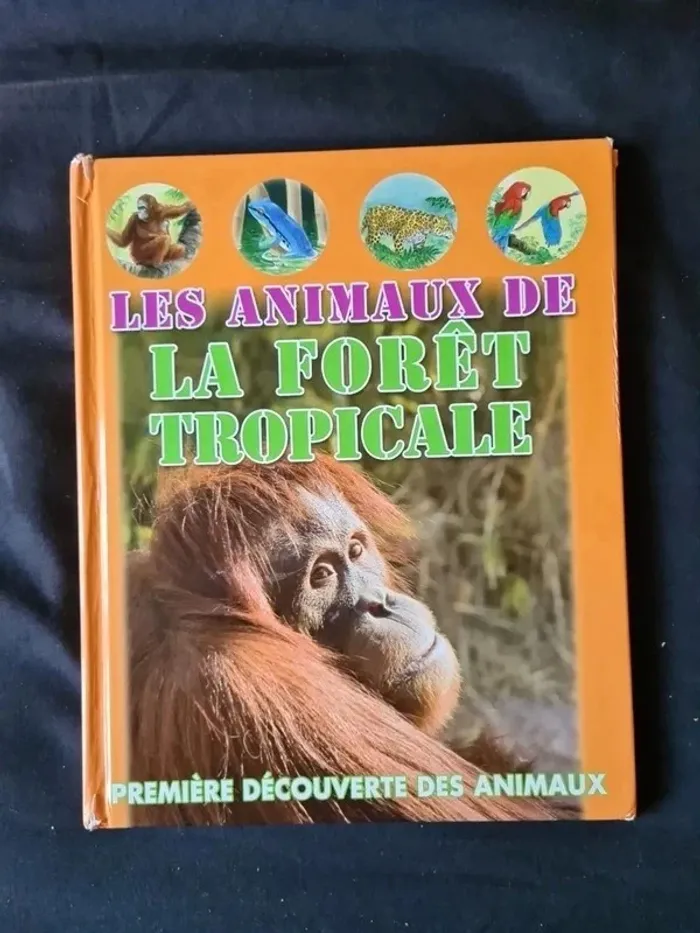 Lot de livres découverte des animaux - photo numéro 2