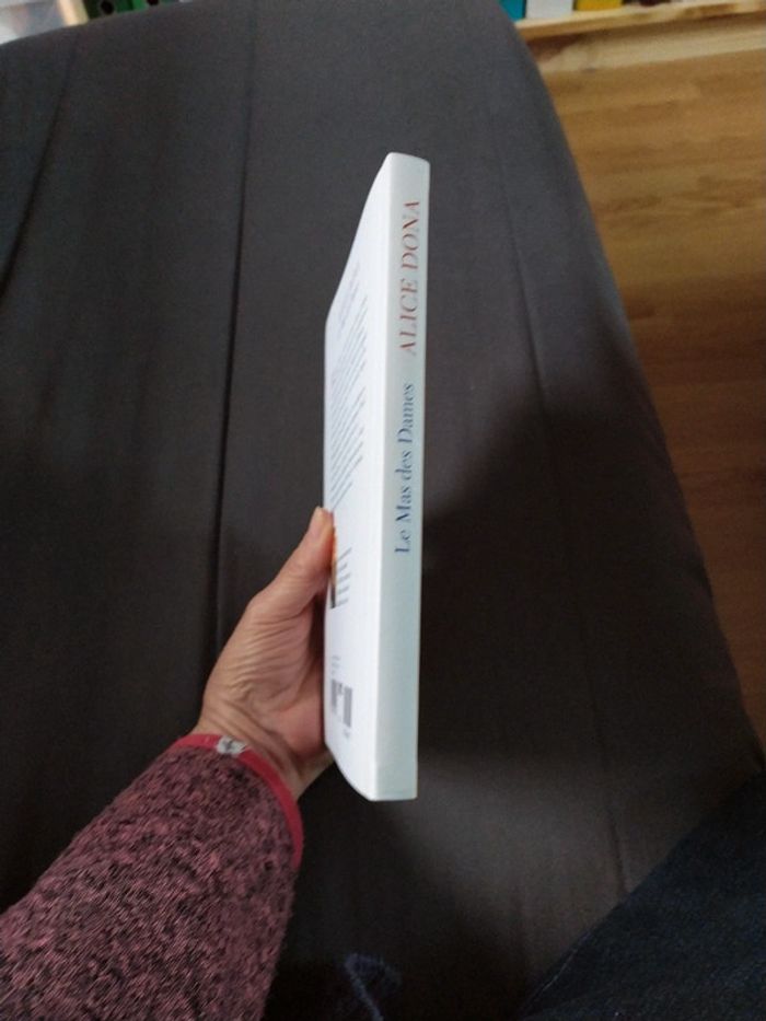 Le Mas des Dames d'Alice Dona - photo numéro 3