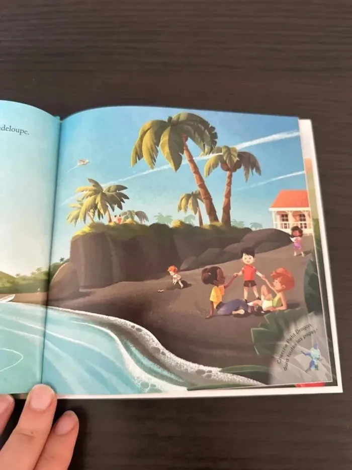 Le volcan de la Soufrière livre McDo - photo numéro 4