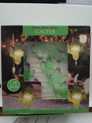 Guirlande cactus 2m 