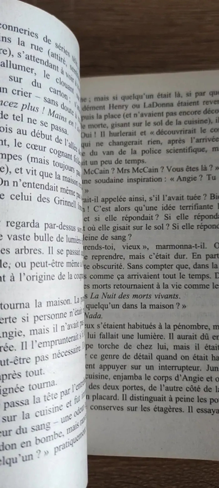 Dôme de Stephen King - photo numéro 5