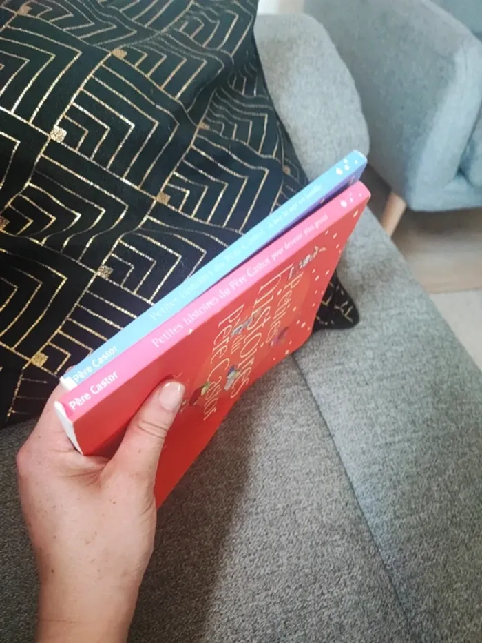Lot 2 livres petites histoires du Père castor - photo numéro 4