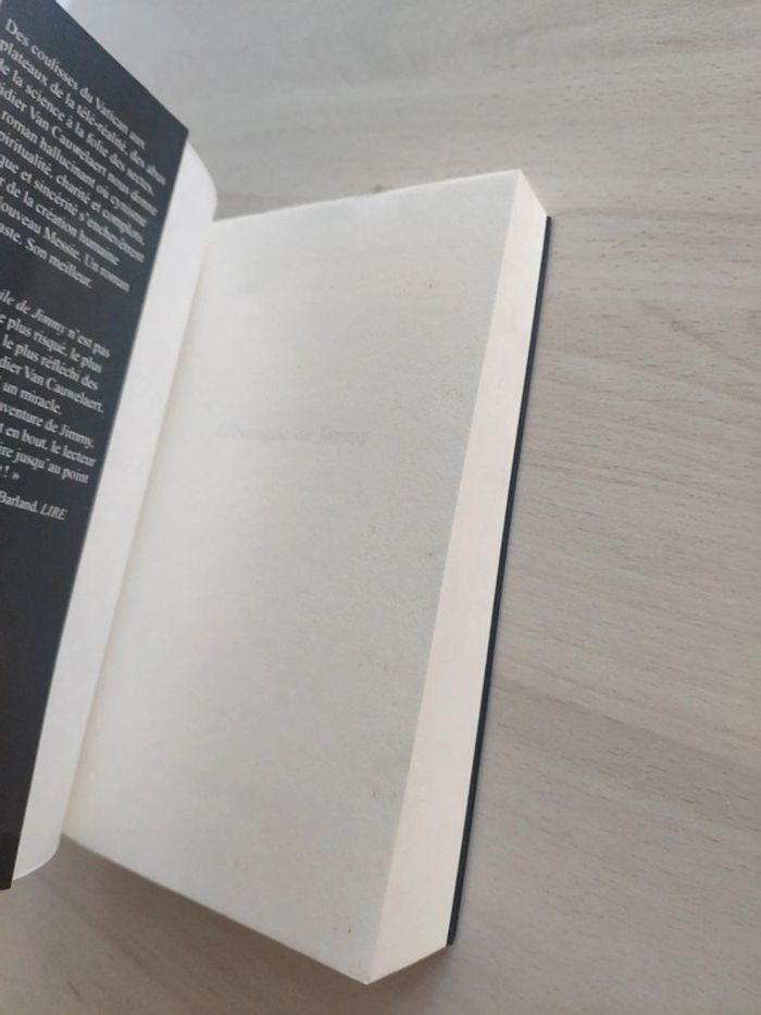 Livre grand format l'évangile de Jimmy Didier Van Cauwelaert - photo numéro 7