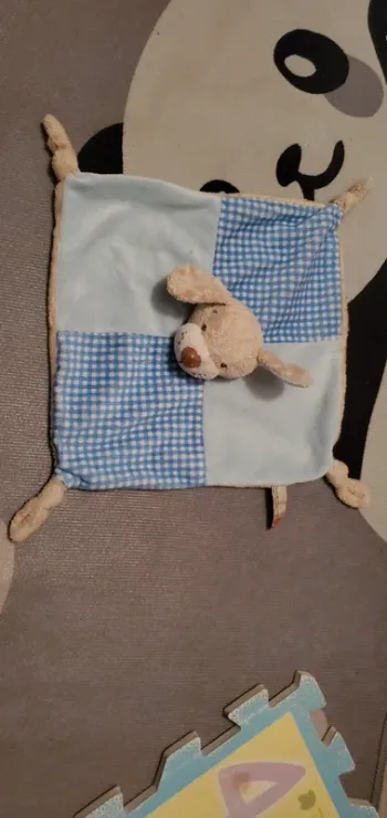 Douloureux chien