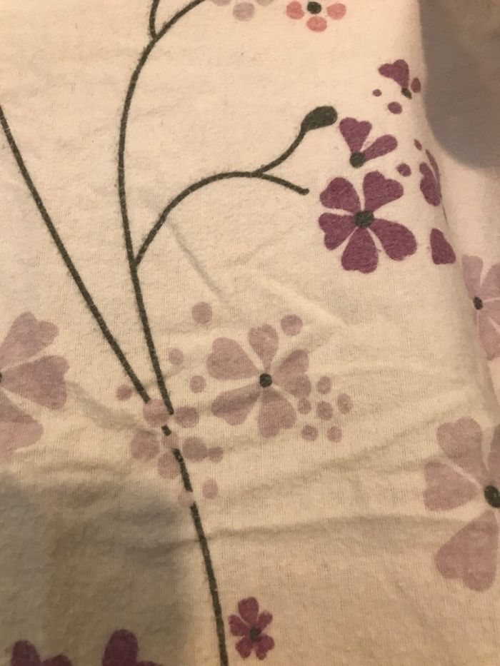 Trait oreiller - photo numéro 3